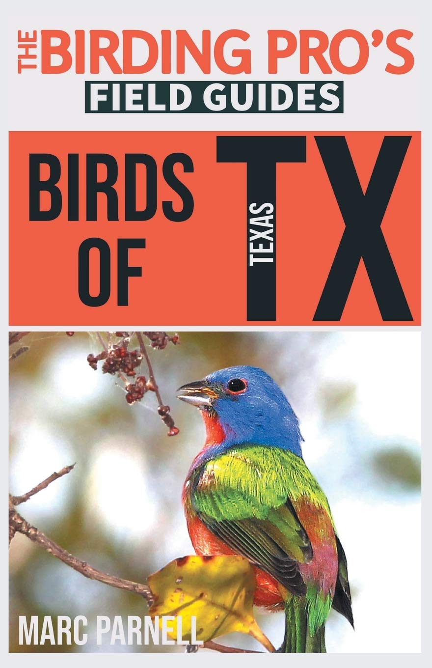 Birds Of Texas Field Guide By Stan Tekiela – Bird Identification, 436 Pages, Perfect Format, Used Good Condition