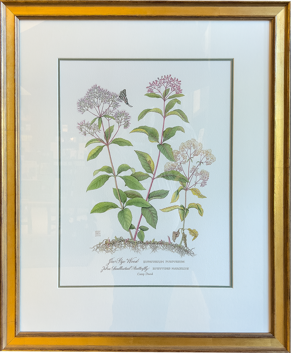 Bush Collection Order Artwork Online | George W. Bush Presidential Center
