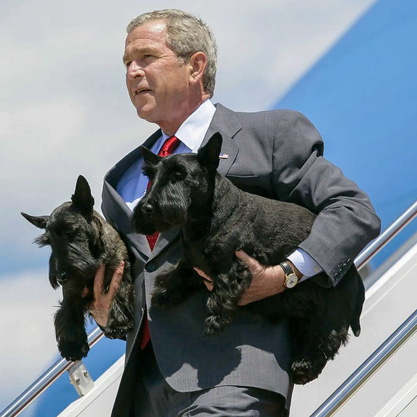 President George W. Bush Timex Watch only $69.99 | | George W. Bush ...